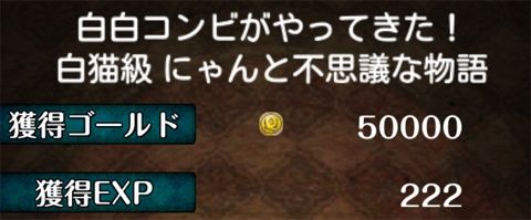 wbc_01_04