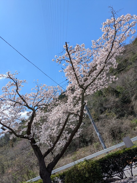 PXL_20260405_031951225