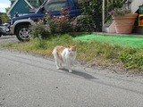 2012-09-27 13-07-42_1132
