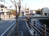 DSC04390_R