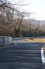 DSC08049_R