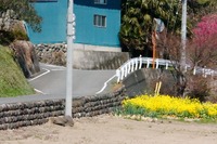 DSC04979_R30
