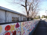 DSC07432_R