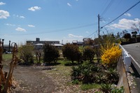 DSC04956_R30