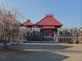 DSC04354_R