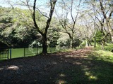 2012-09-26 10-09-19_0707