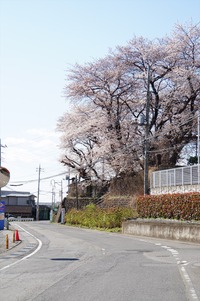 DSC04733_R30