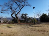 DSC04205_R