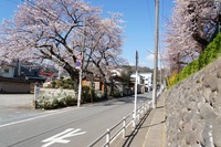 DSC04765_R30