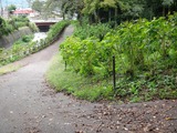 2012-09-27 10-00-39_1029