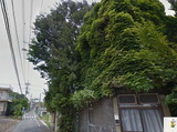 狐狸狐狸ストリートビュー