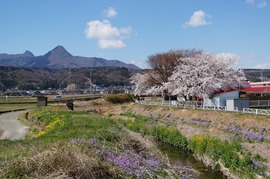 DSC05067_R30