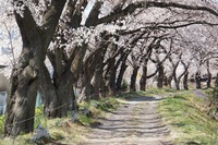 DSC05125_R30