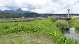 DSC01035_R