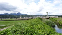 DSC00995_R