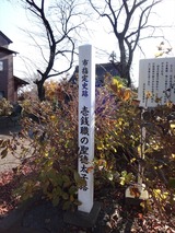 DSC04353_R