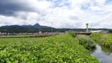 DSC01010_R