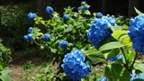 DSC01067_R