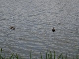 2012-09-27 11-48-39_1092