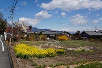 DSC04957_R30