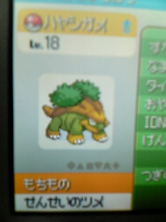 非日常なヒゲ日記 ポケモン ゲーム Livedoor Blog ブログ 非日常なヒゲ日記 ポケモン ゲーム Livedoor Blog ブログ