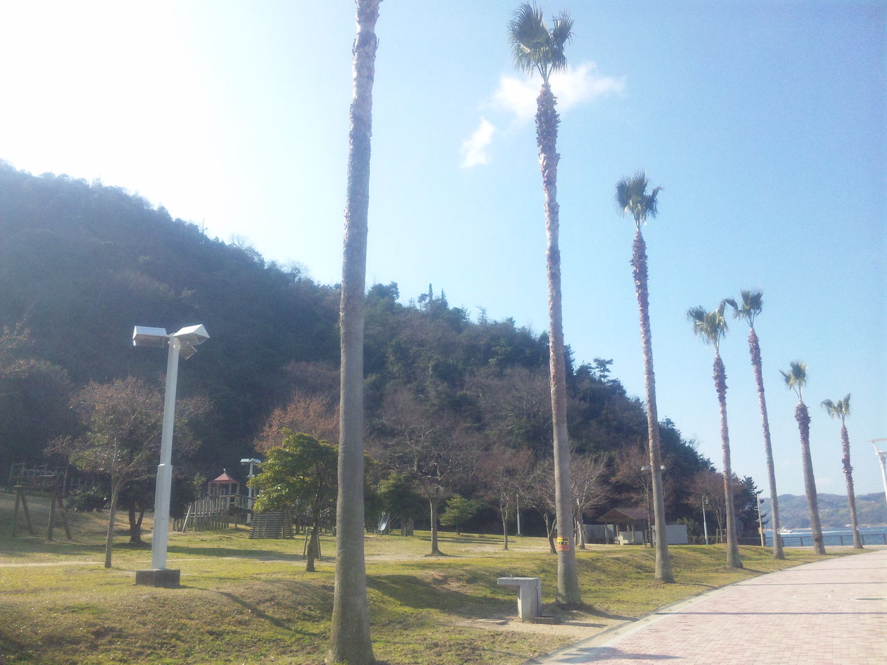 120303 ���뤬���͸��� 01