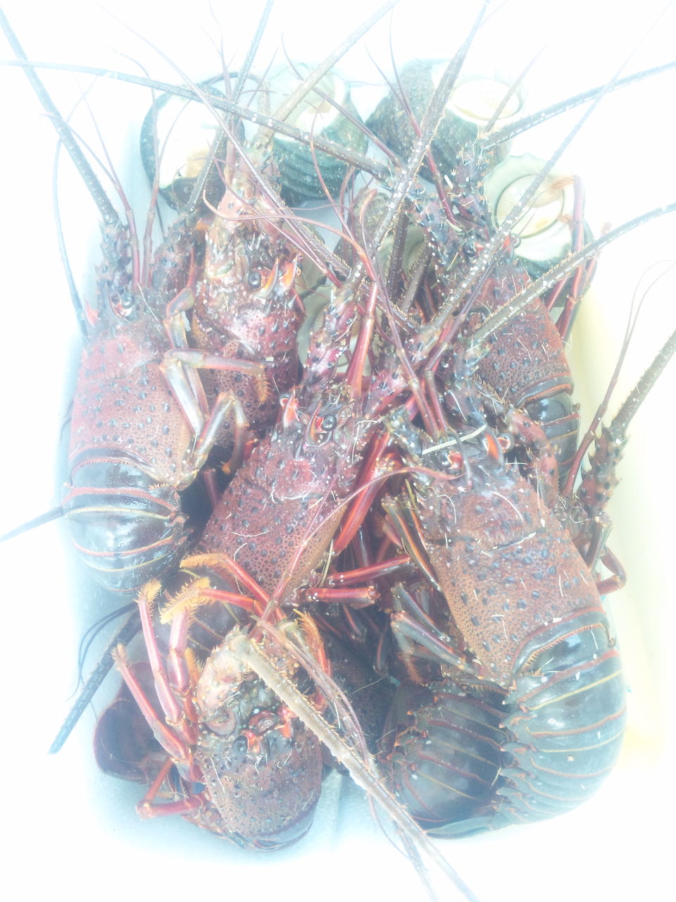 120303 �����׿ʹ��޲� 01