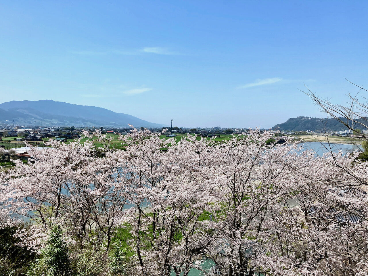 21年03月 すきまをつくろう