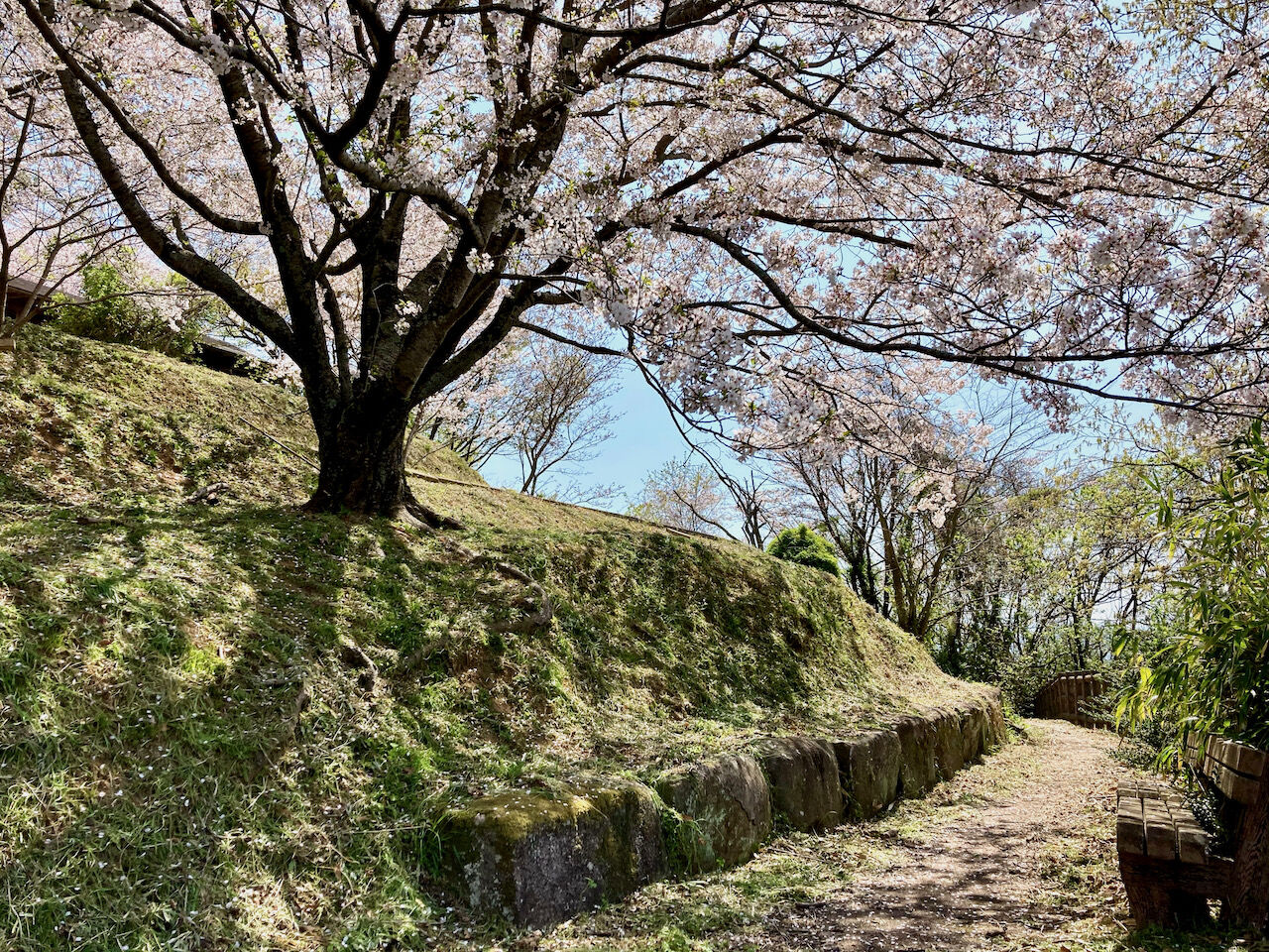 E Bikeポタリング 杷木神籠石 すきまをつくろう