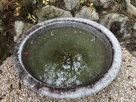 よっちゃん メダカを飼うのを諦めたかな すきまをつくろう