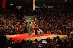 ������ȱ��