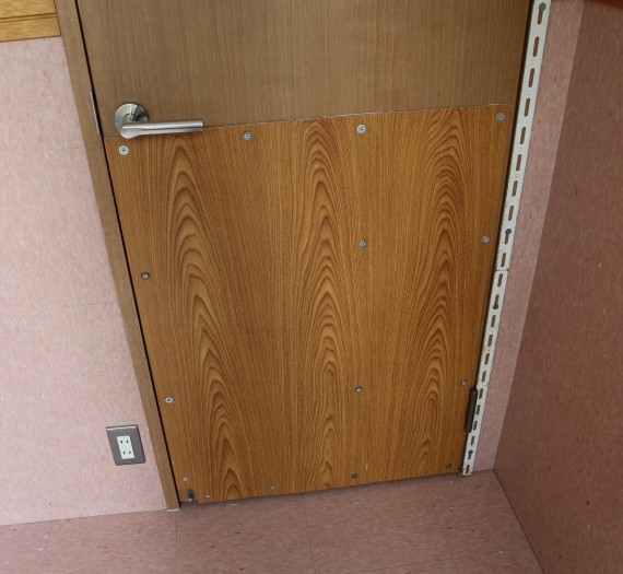 ドアを破壊した猫 ペットの健康