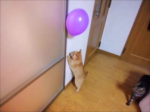 2020.2.13 風船 エイト you _Moment