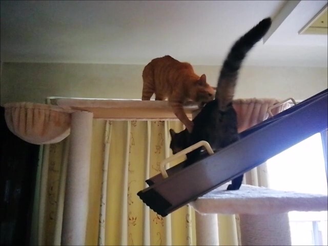 ī�衡�ץ����ɤ������ä������桡_Moment