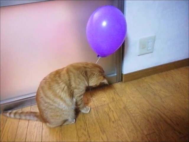 2020.2.13 風船 エイト2 you _Moment