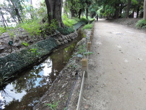 玉川上水・内藤新宿分水散歩道