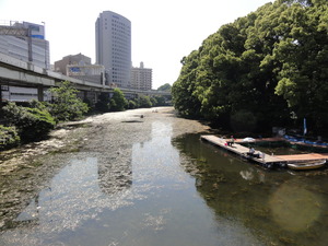 旬感ランキング 新緑 弁慶濠