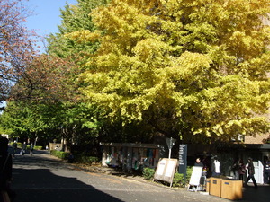 東京大学