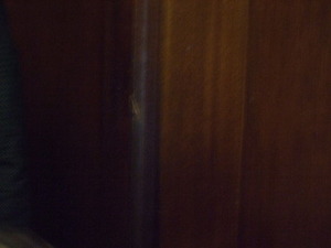 防衛省市ケ谷地区見学(市ケ谷台ツアー)