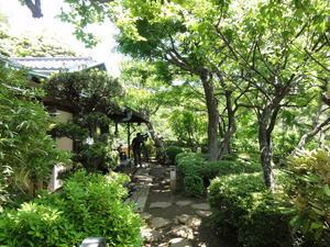 旬感ランキング 新緑 等々力渓谷公園