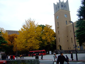 早稲田大学の銀杏