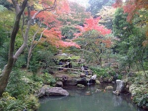 六義園 絶景ポイント 千鳥橋から滝見の茶屋をのぞむ