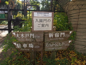 新宿御苑散策路