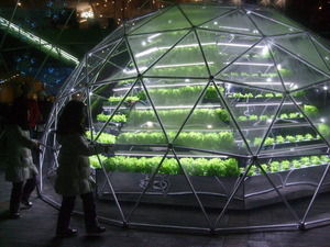 Super Light City 2010