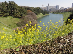 半蔵門から桜田壕を臨む
