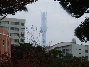 旧安田庭園からのスカイツリー