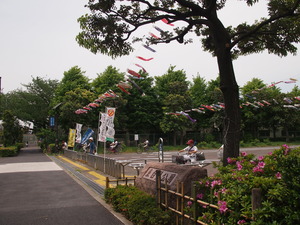 東白鬚橋公園