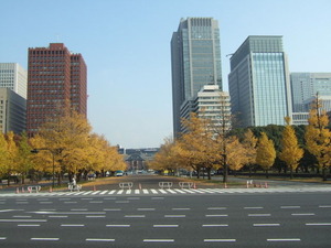 東京駅前の銀杏並木