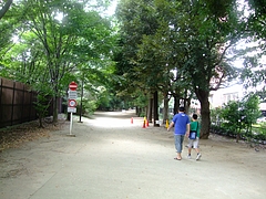 新宿御苑散策路