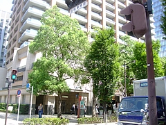 神保町駅